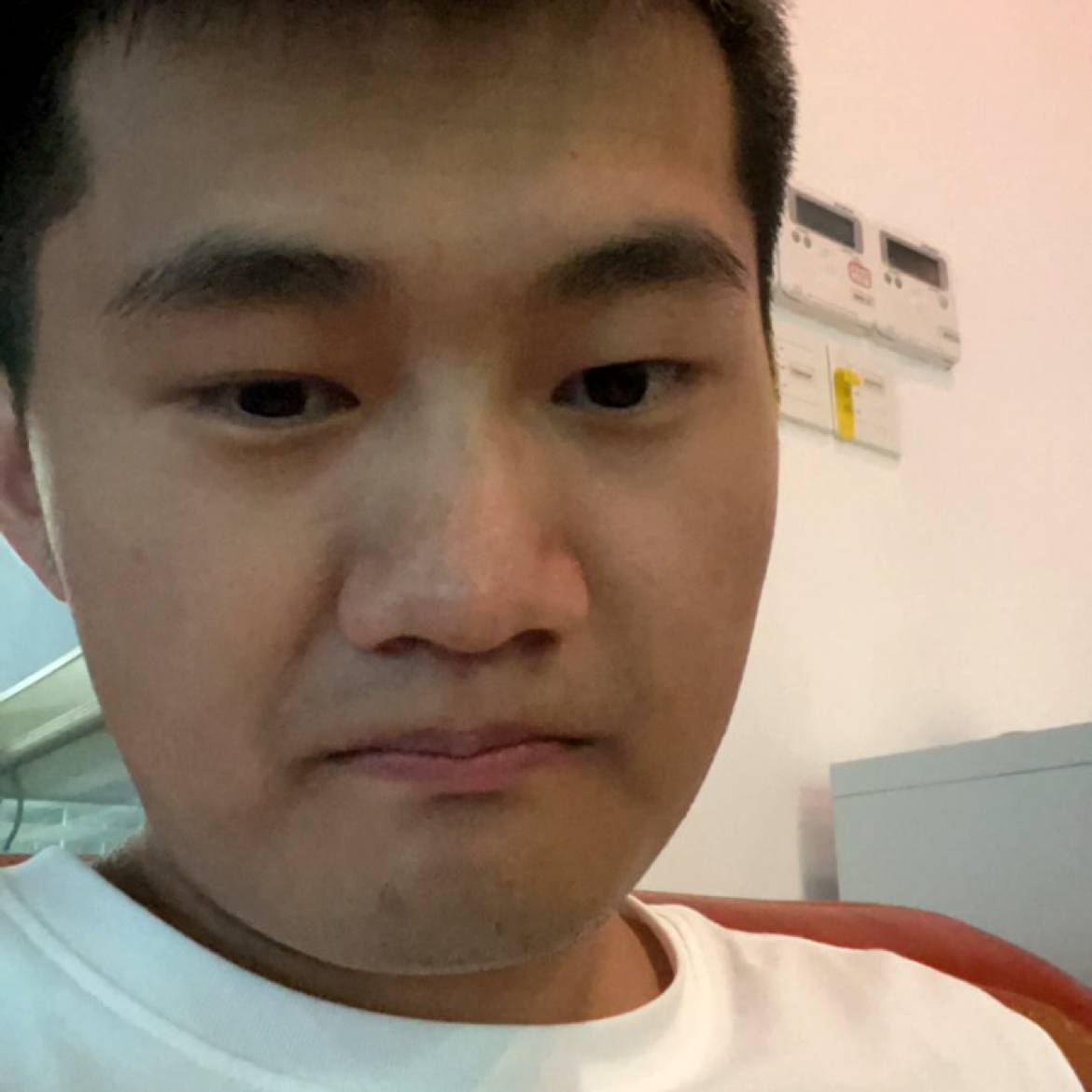 冬阳小洒的照片