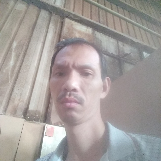 零碎保卫羊的照片