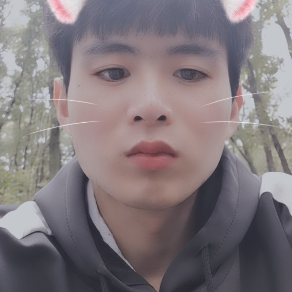 踏实爱恋仙人掌的照片