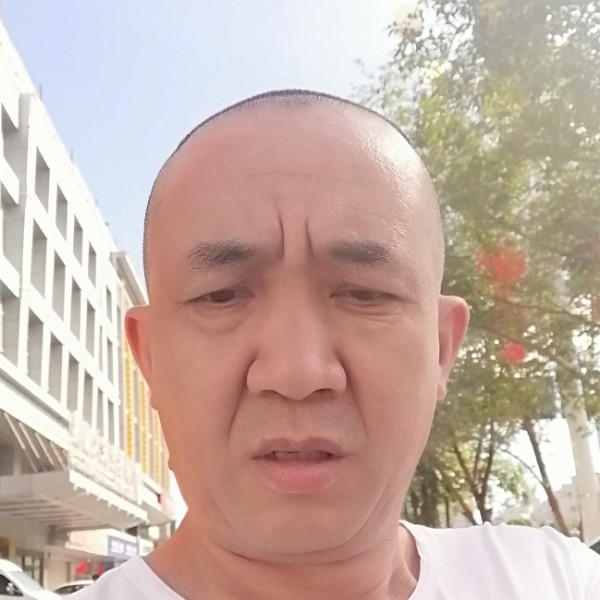 爱上羊的狼的照片