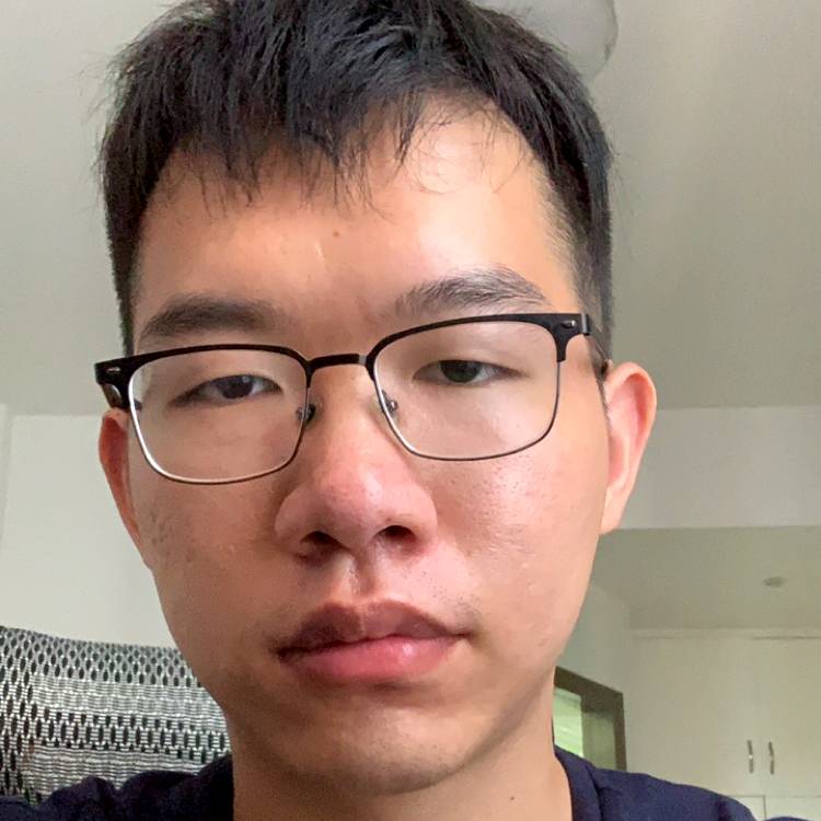 波罗的海大菠萝的照片