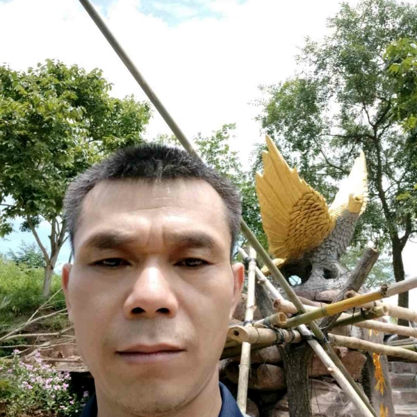 从再来的照片