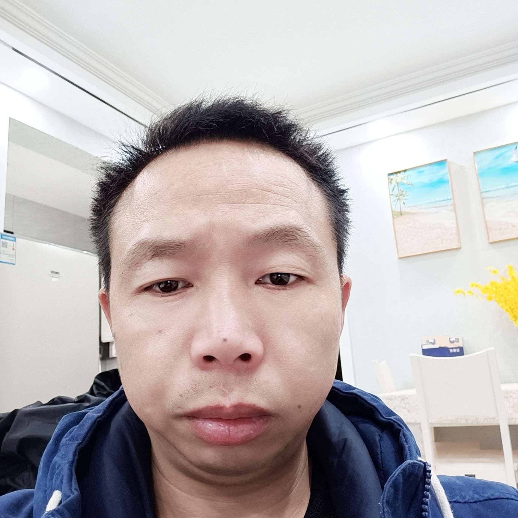 小海豚深拥灵巧的照片