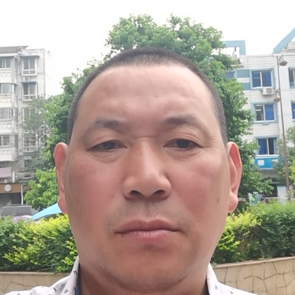 鲜花漫步稳重的照片