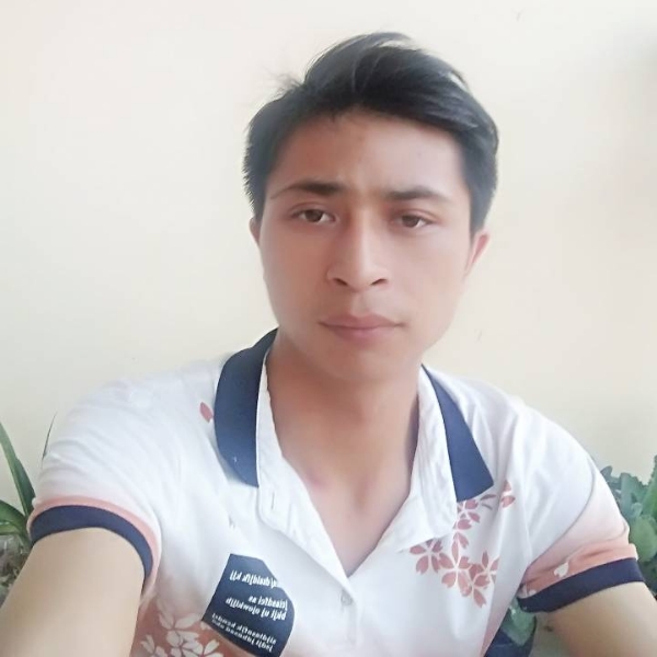 危机浮光的照片