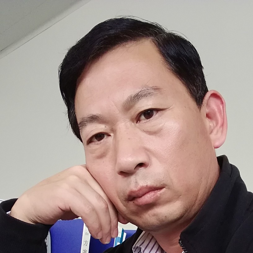河岸垂柳的照片