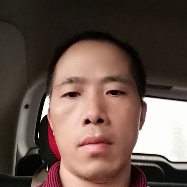 冬耀停止含蓄的照片