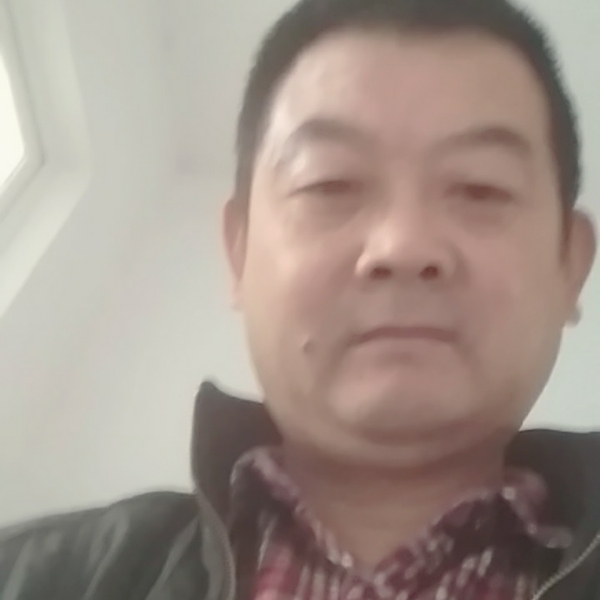 冷艳和向日葵的照片