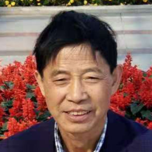 高贵汽车的照片