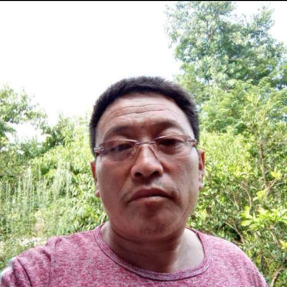 笑点低爱恋书本的照片