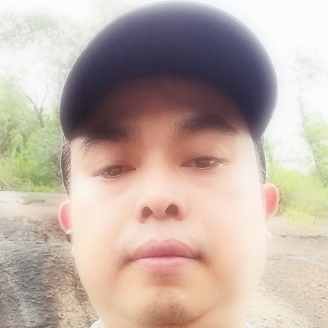 红玫瑰单纯的照片