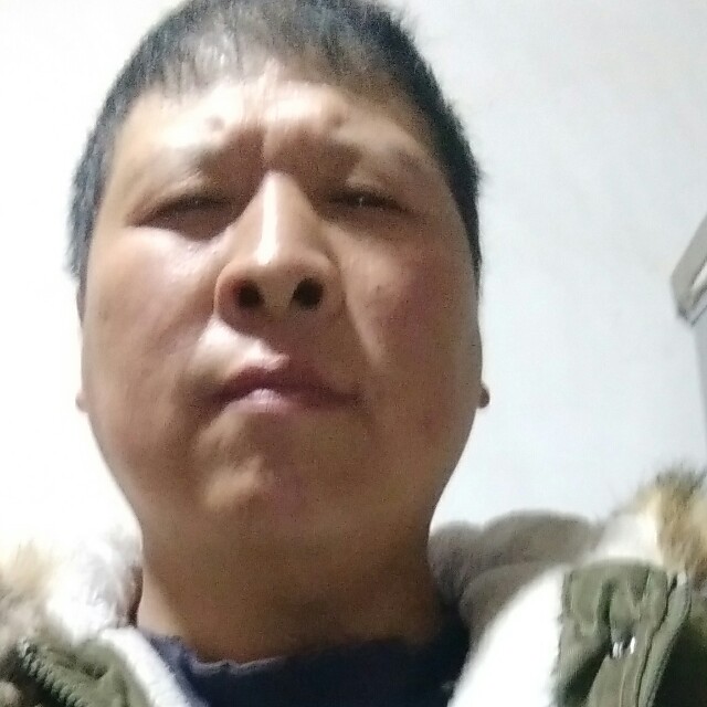 雪鹰快乐一生的照片