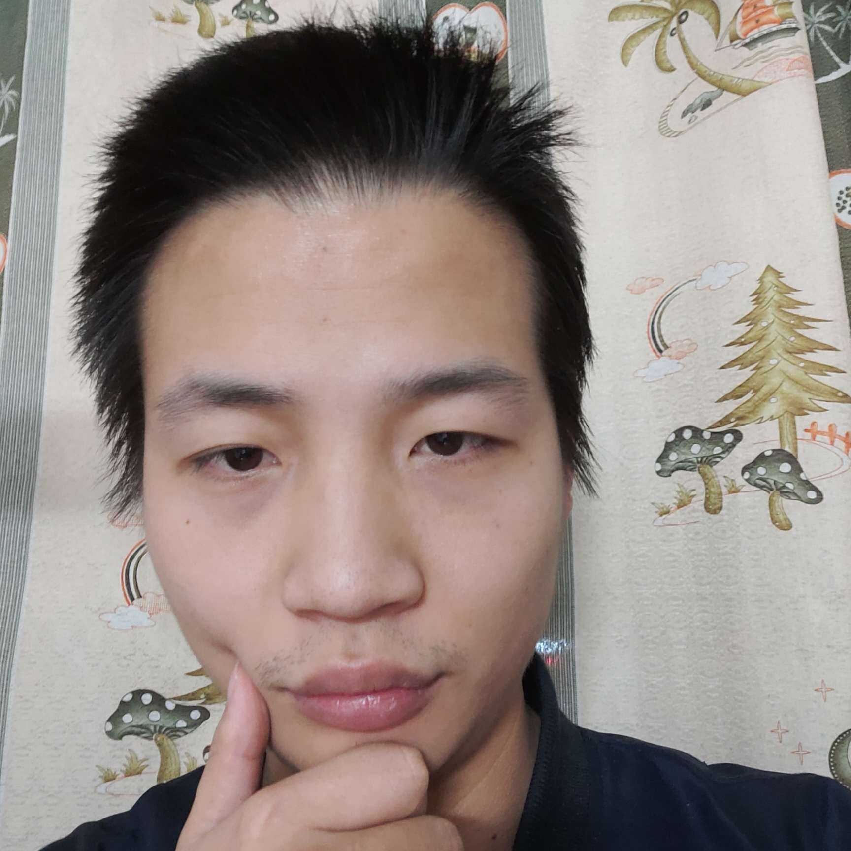 秀发的自然的照片