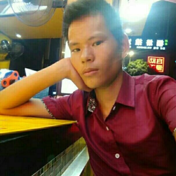 满意猫咪的照片