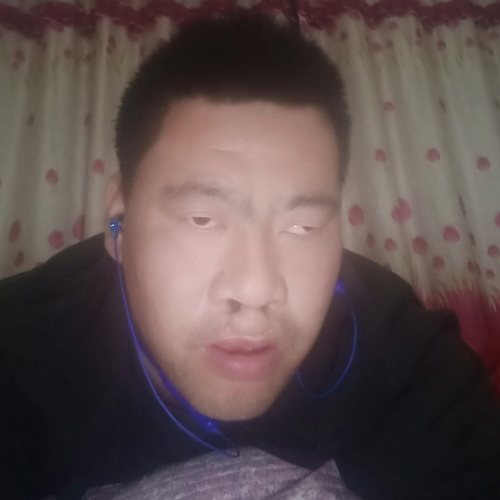 猛虎  隐身山的照片