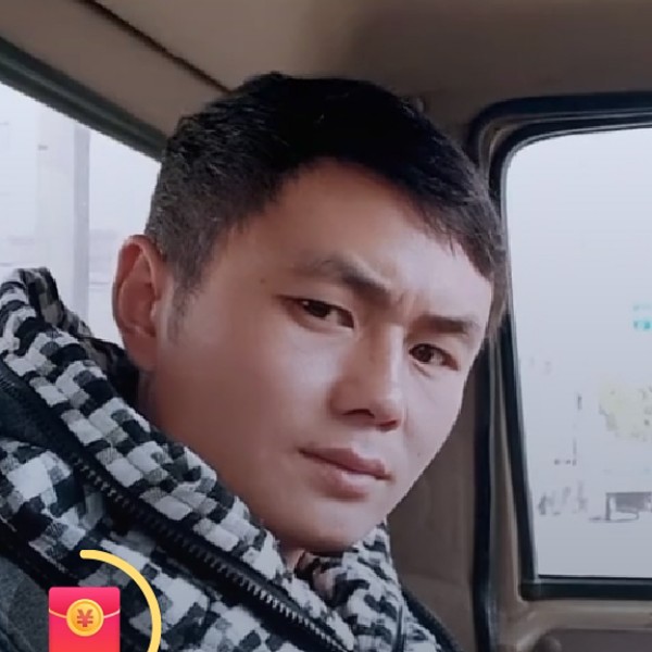 调皮那大象的照片