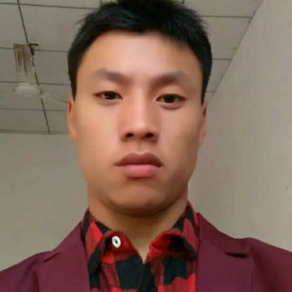 过时半夏的照片