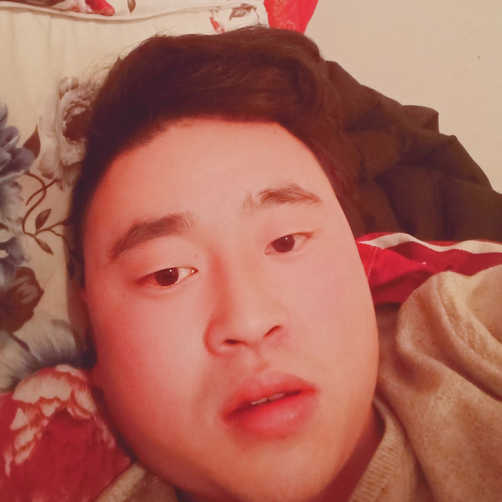 唯一的剪影的照片