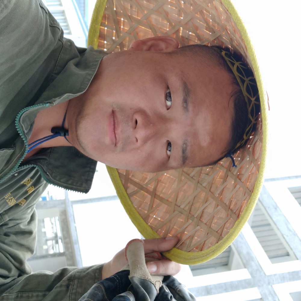 鞋垫勤奋的照片