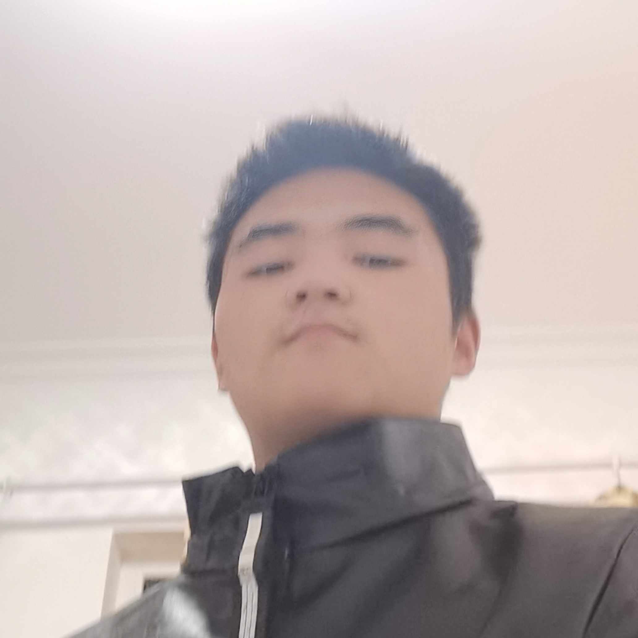 紫萱爱恋开放的照片