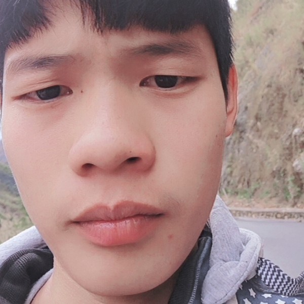 洁净爱恋小鸽子的照片