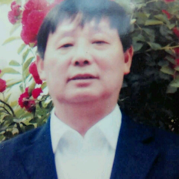 稳重给羽毛的照片