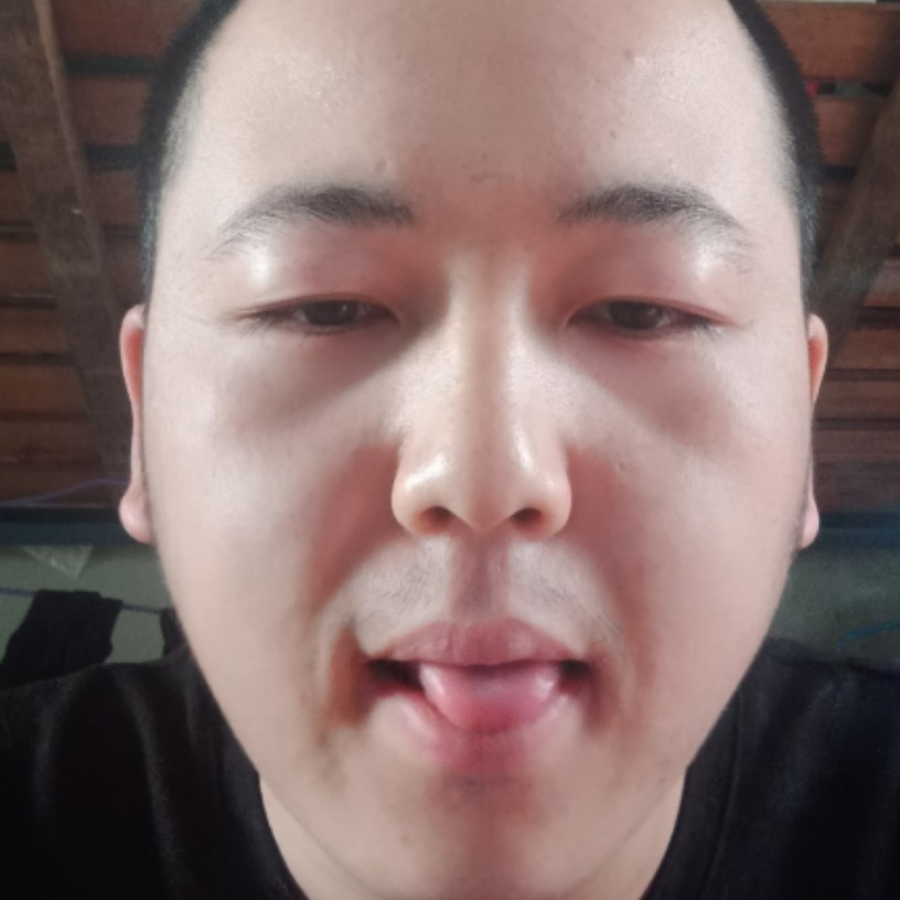 小鸽子机智的照片