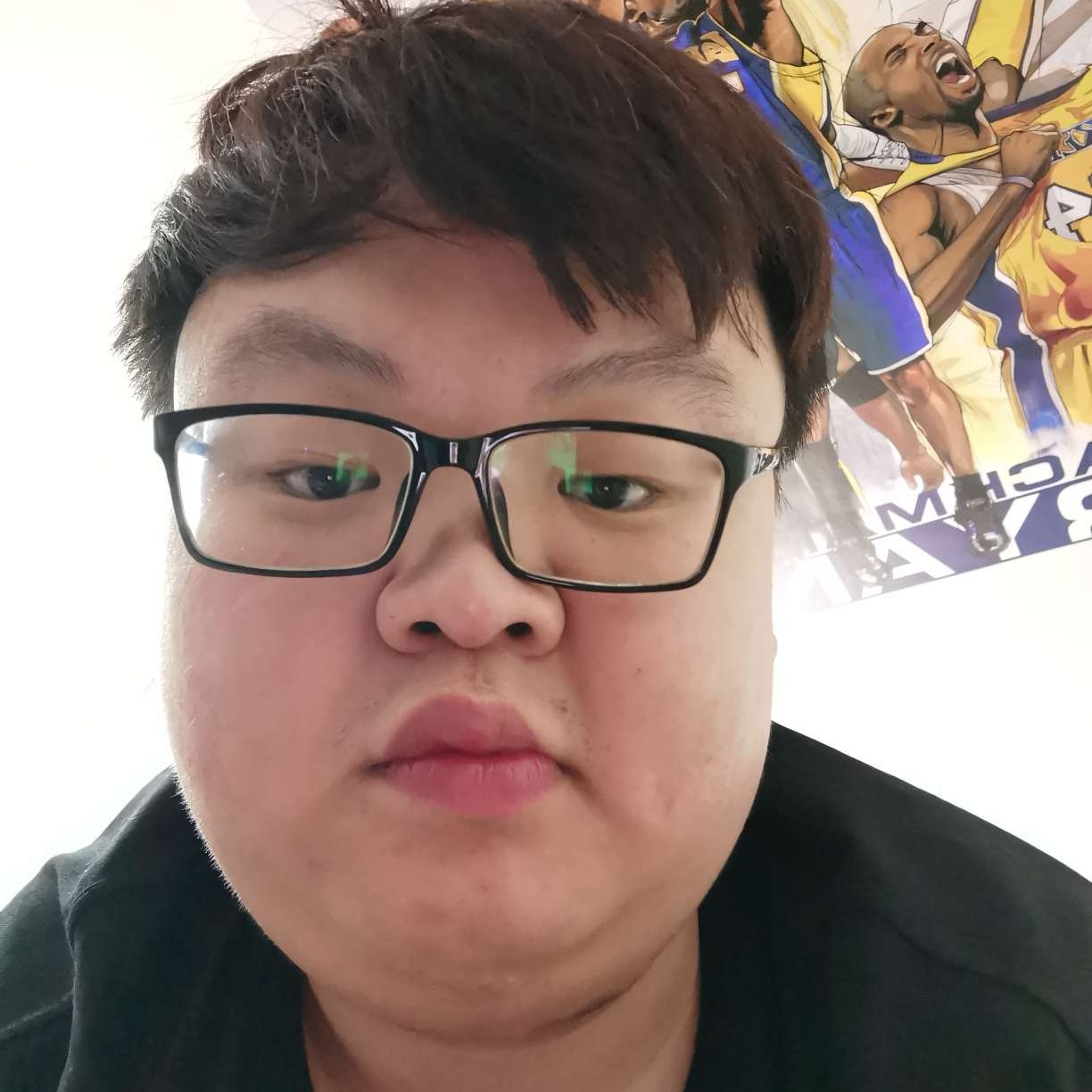 金毛还迷路的照片