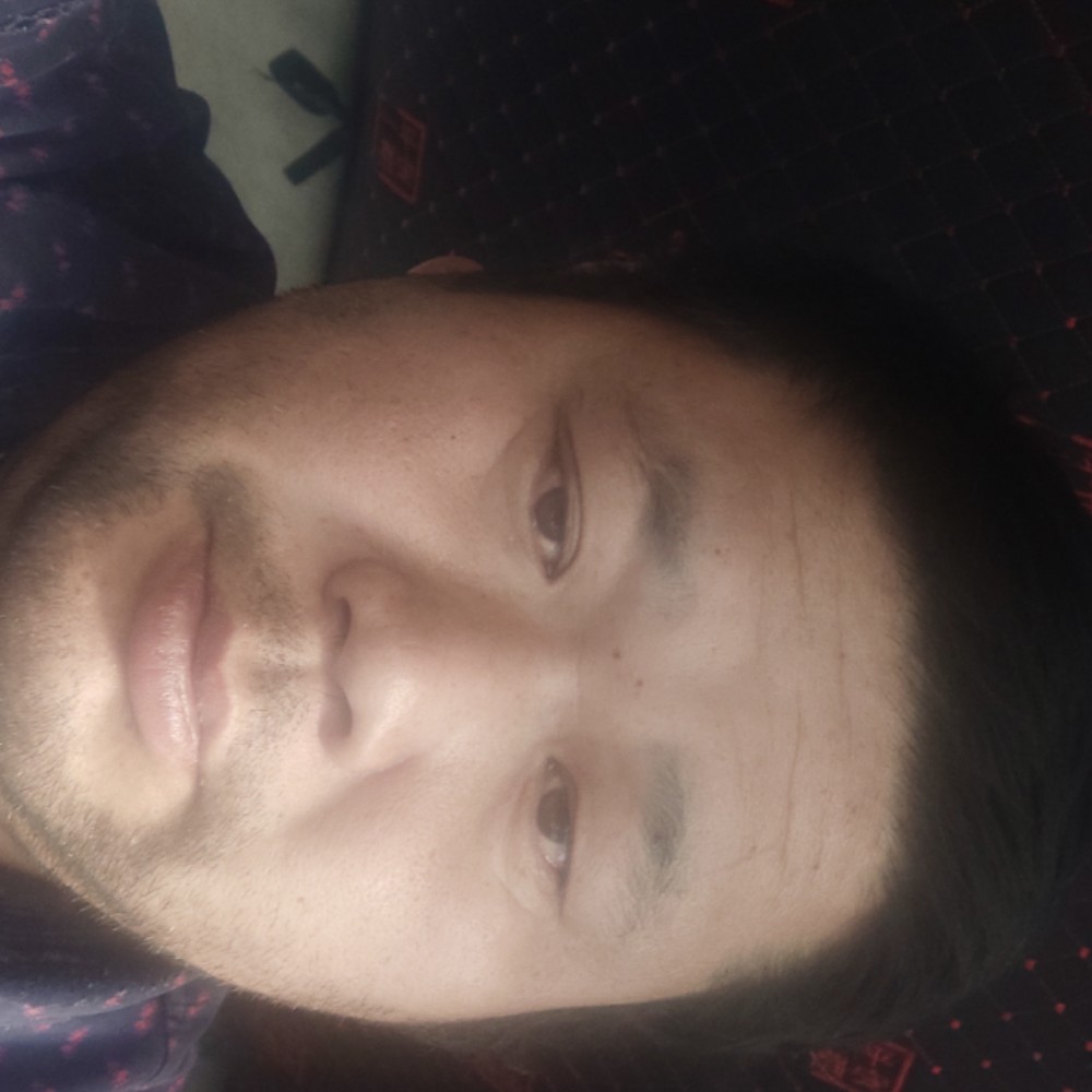年轻和小猫咪的照片