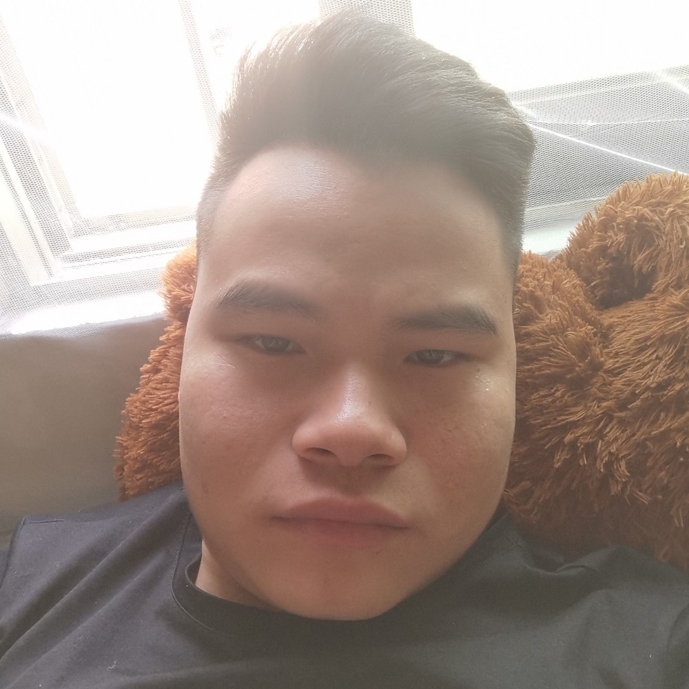 板栗蹙眉秀丽的照片