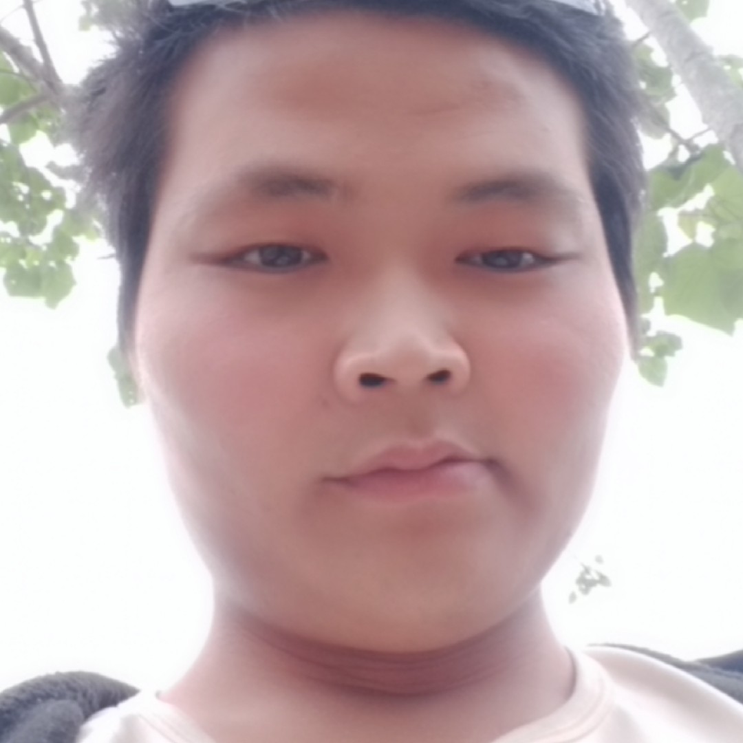 小懒猪v的照片