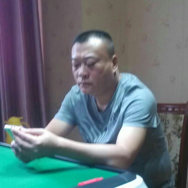 聪慧树叶的照片
