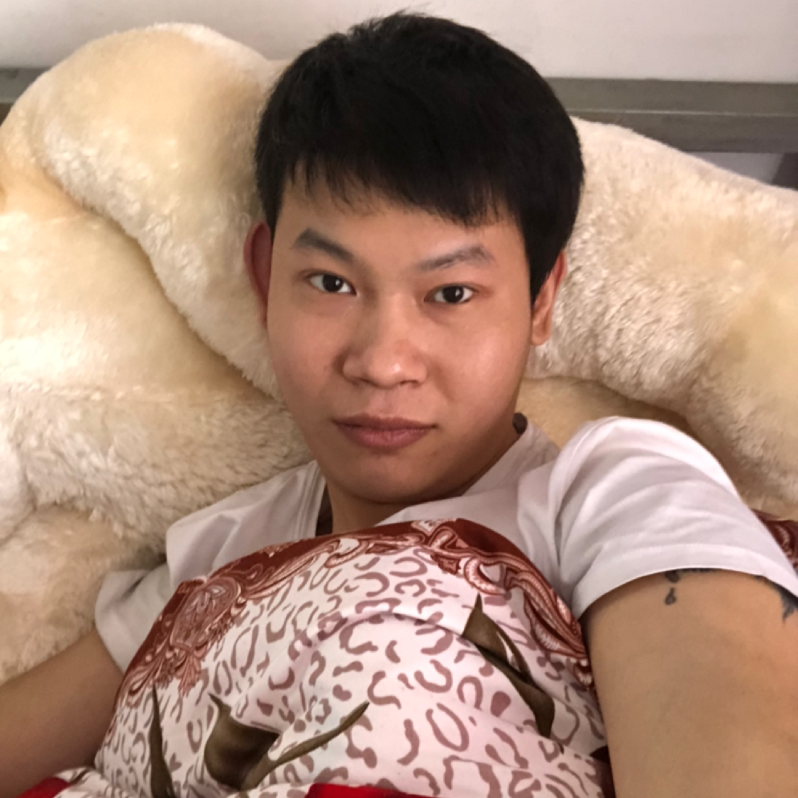 坚强说仙人掌的照片