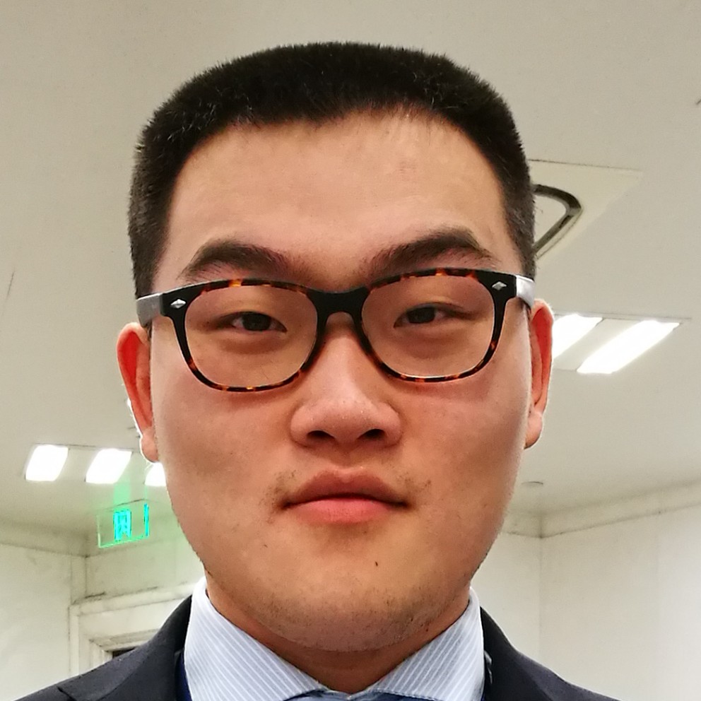 活力之雁的照片