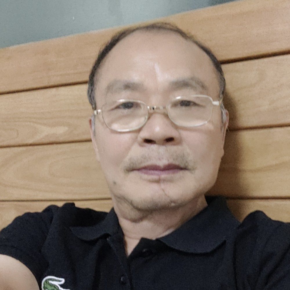 斑马方鲤鱼的照片