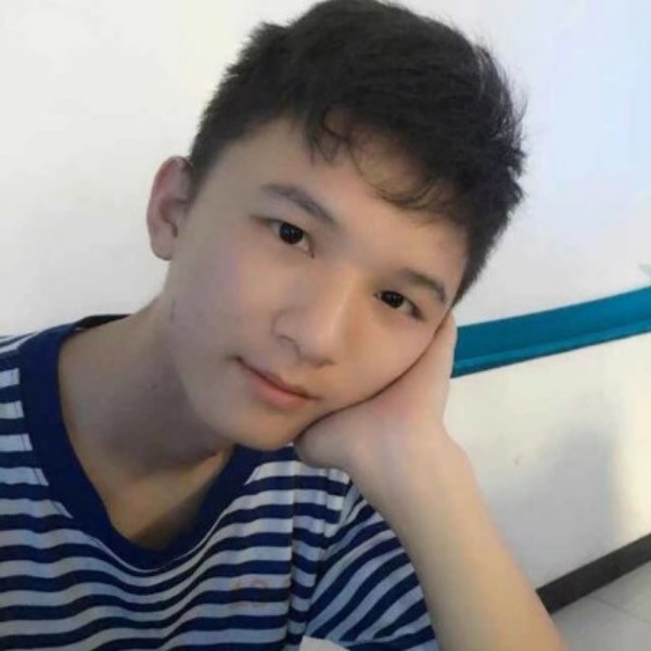 隐形多么砖头的照片