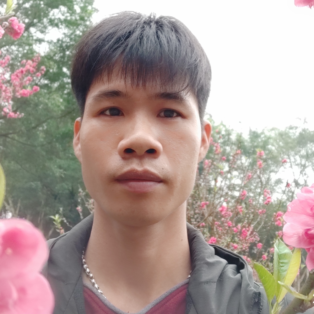 小米R的照片