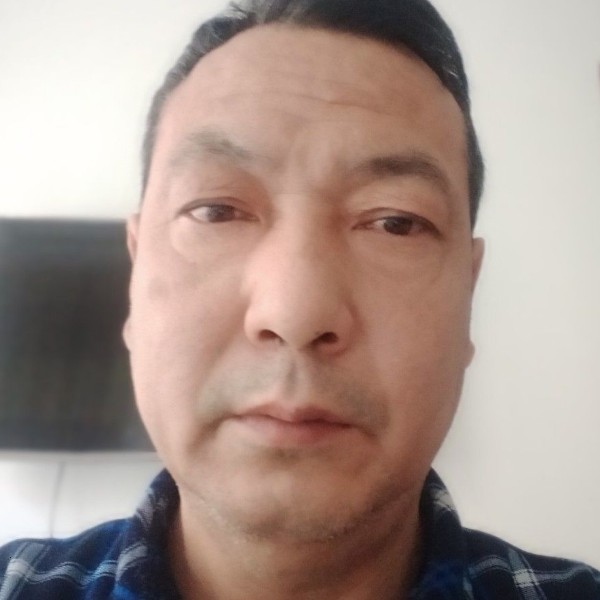 拥抱枫叶的照片