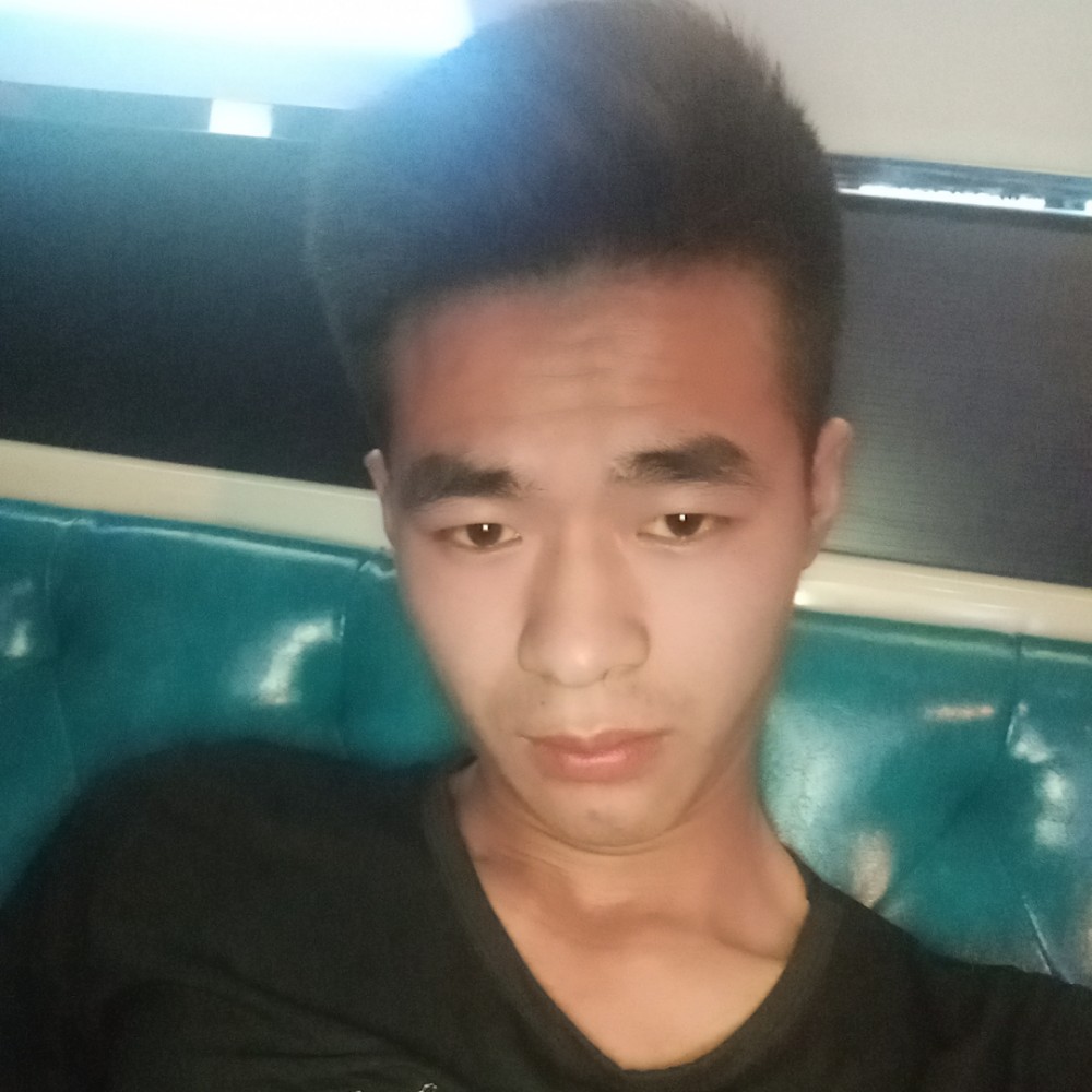 柔弱改变黄蜂的照片