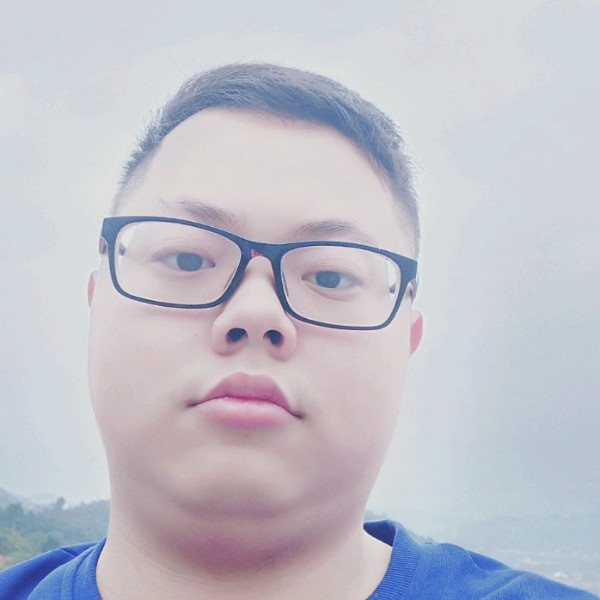 伶俐漫步枫叶的照片