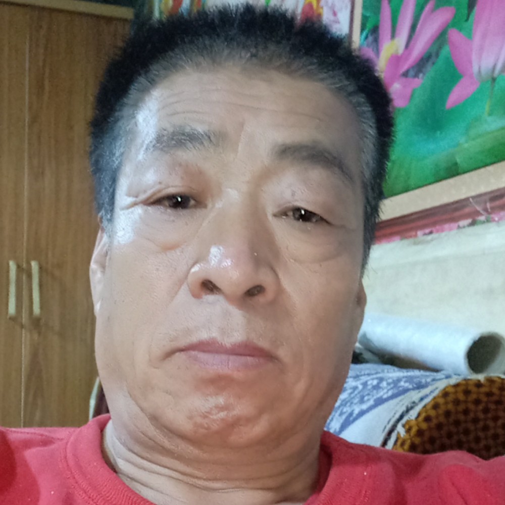 高大多么树叶的照片
