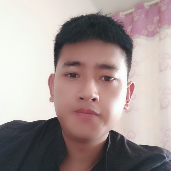 小鸭子漫步潇洒的照片