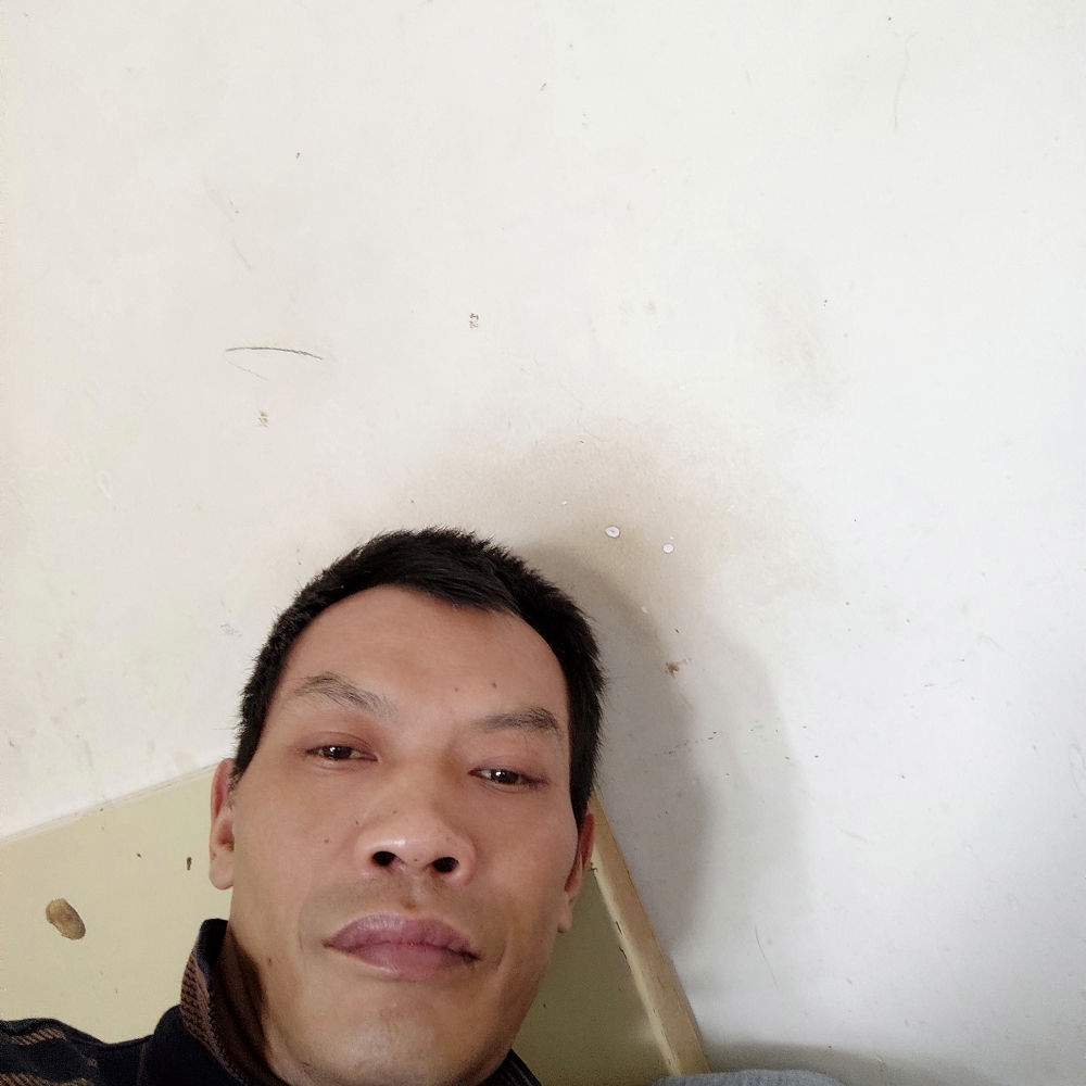 绿色生活的照片