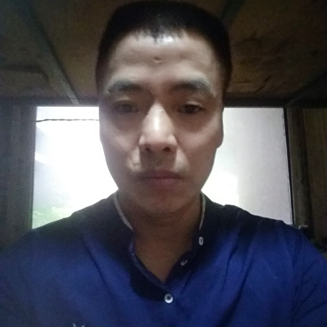 金鱼温婉的照片