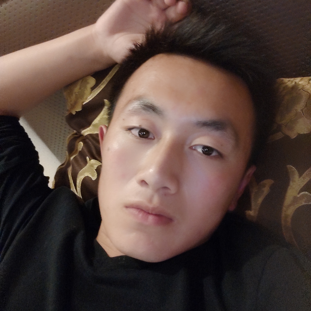 呆萌向日葵的照片