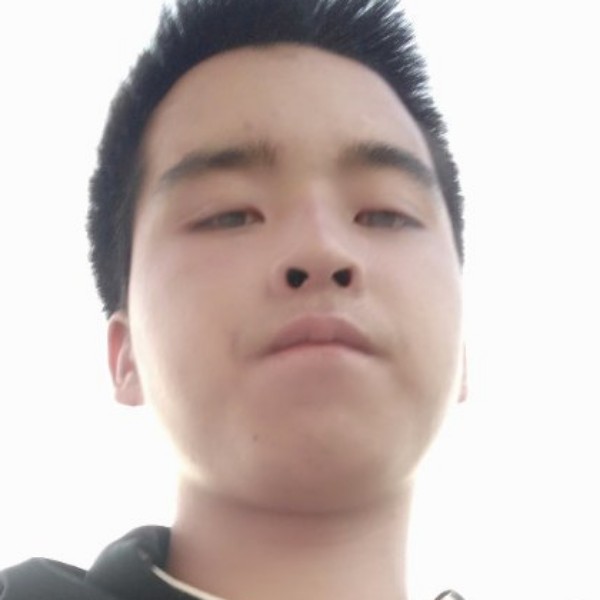 追寻深拥小海豚的照片