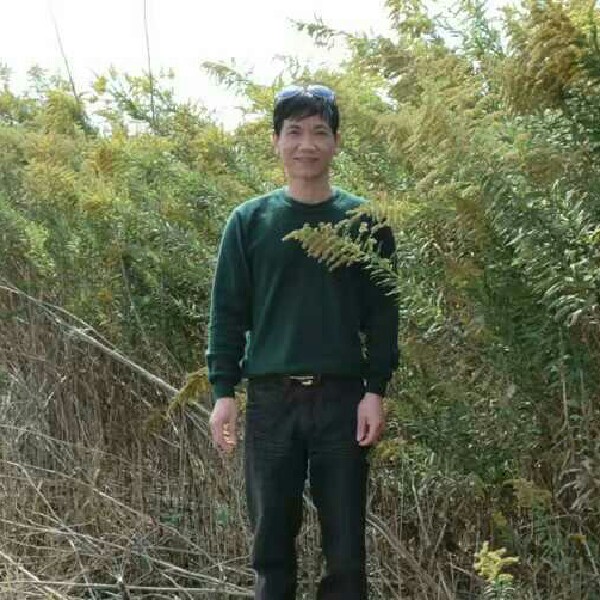 绿野听风的照片