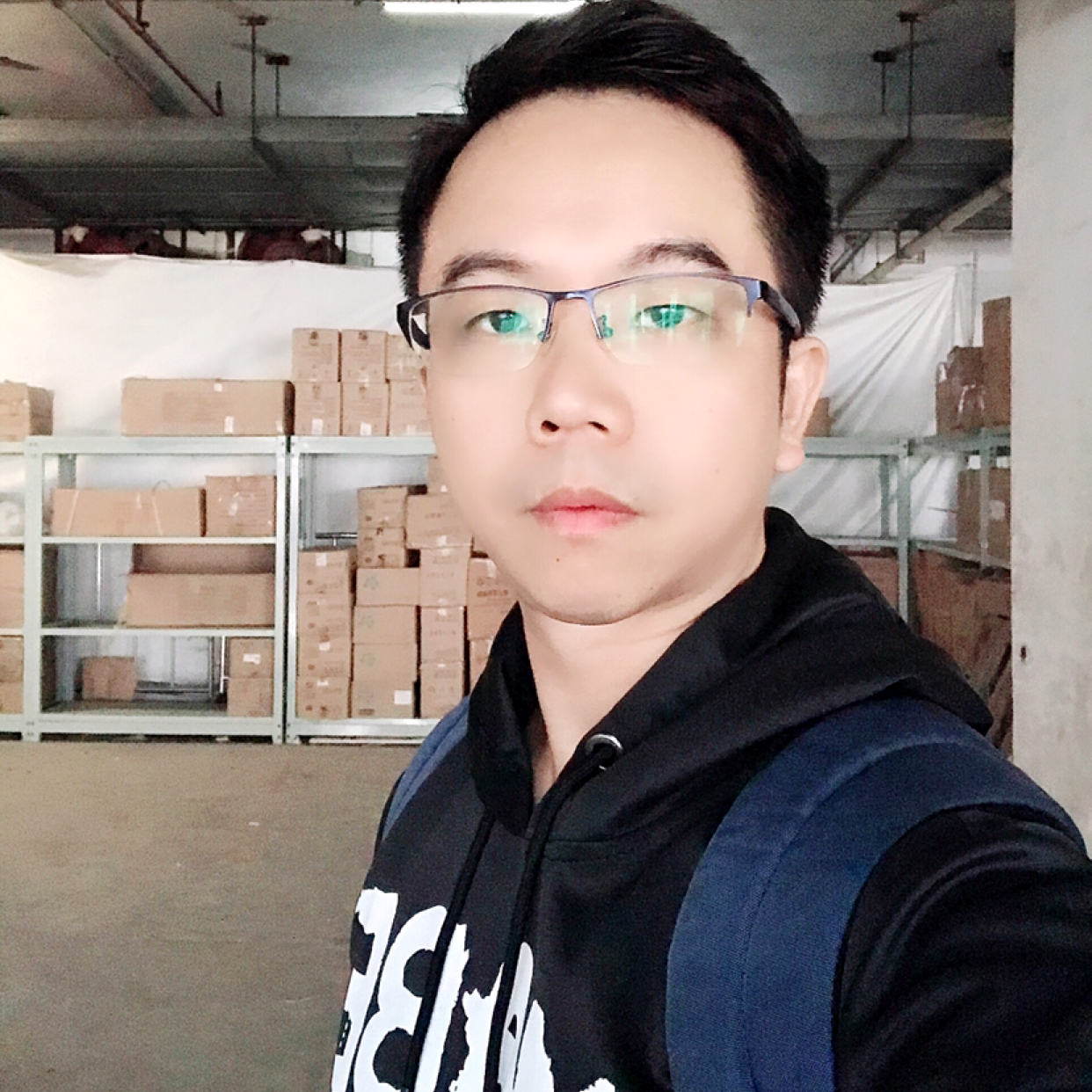 追爱的海豚的照片