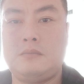 多情等于春天的照片