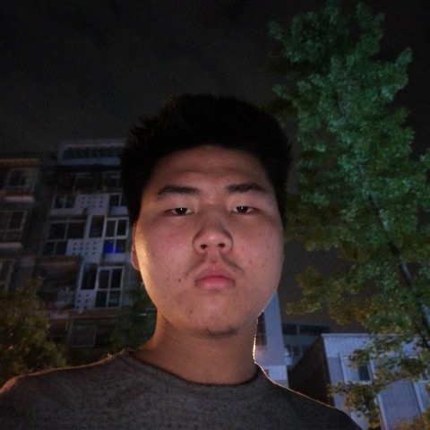 灵巧与小天鹅的照片